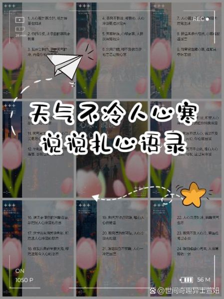 寒风表达什么情感_寒风为何让人想哭