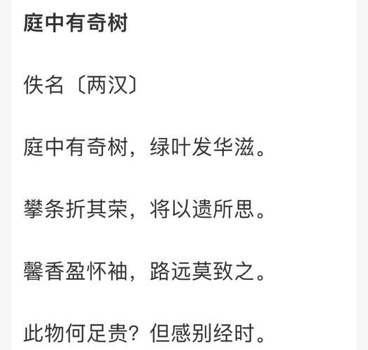 庭中有奇树表达了什么情感_古诗情感解析