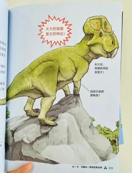 恐龙百科全书适合几岁孩子_恐龙百科全书读后感