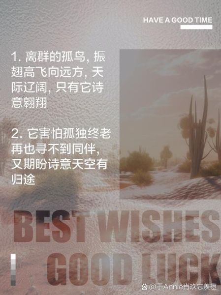 飞鸟情感表达_如何理解飞鸟的孤独