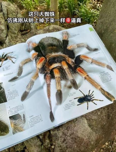 博物大百科点读书入口在哪_怎么使用