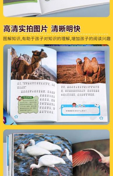 小学生百科阅读书籍推荐_适合一二年级孩子看的科普书