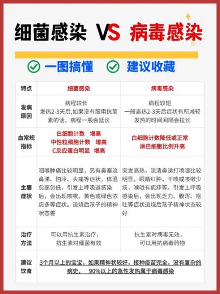 病毒和细菌有什么区别_如何区分病毒与细菌