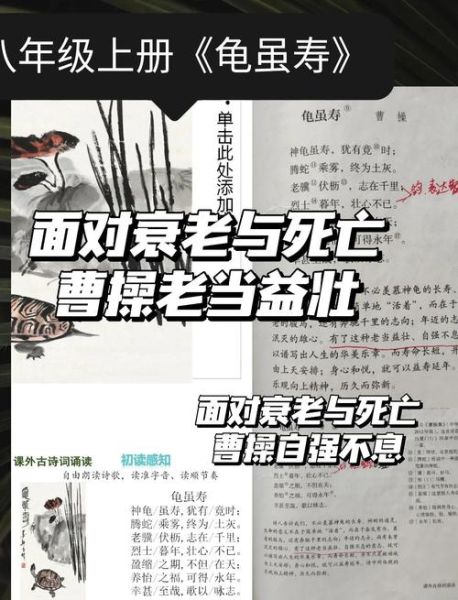 龟虽寿表达了什么情感_曹操晚年心境解析