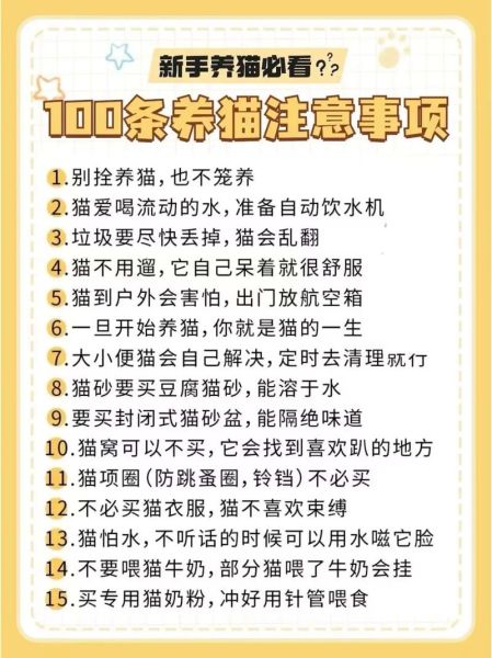 读书不能养猫吗_读书养猫冲突吗