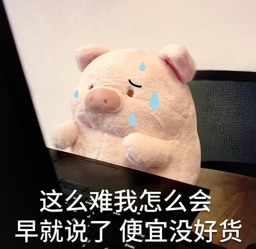 小猪情感表达_小猪怎么表达情绪