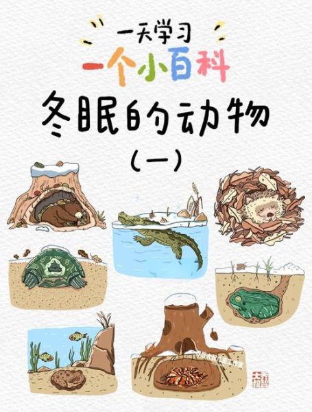 动物冬眠原理_植物如何过冬