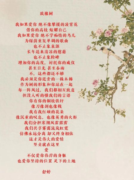 舒婷诗歌情感解读_如何理解朦胧诗中的女性意识