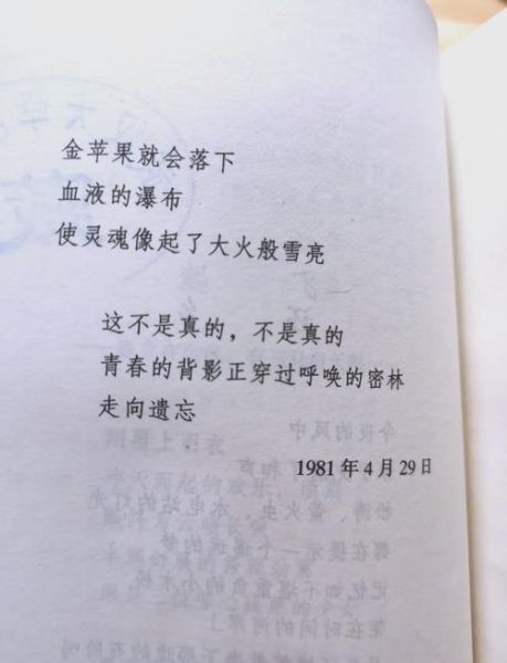 舒婷诗歌情感解读_如何理解朦胧诗中的女性意识