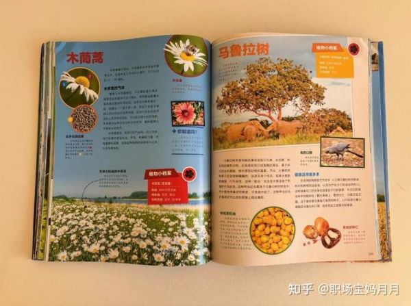 植物大百科适合孩子读吗_怎么选版本