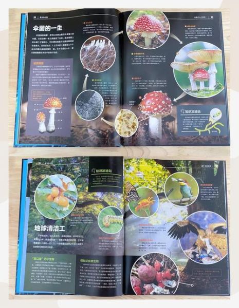 科普百科课外阅读书籍有哪些_如何挑选适合孩子的版本