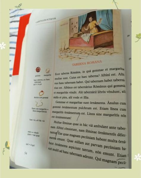 拉丁语情感表达有哪些_如何用在写作中