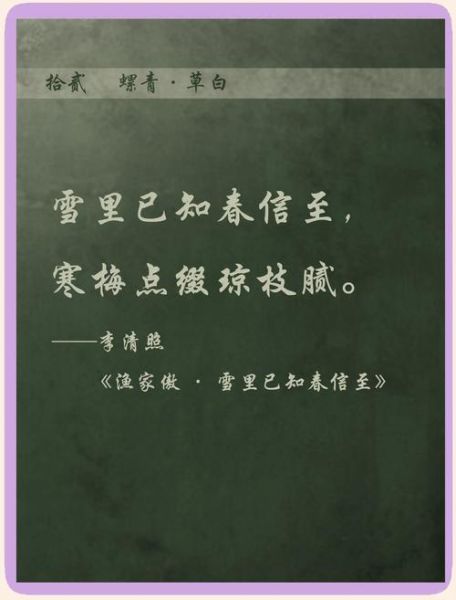 寒梅象征什么情感_寒梅为何让人感动