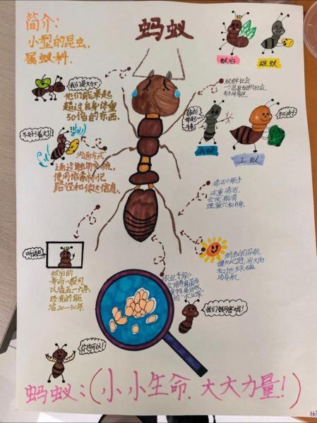 昆虫百科读书作品怎么画_昆虫绘画步骤