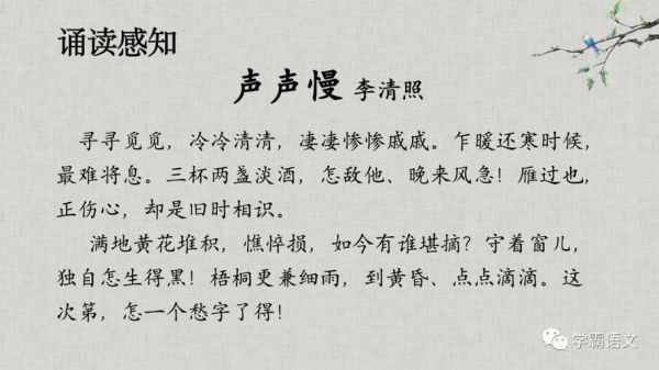 声声慢表达了什么情感_李清照晚年心境