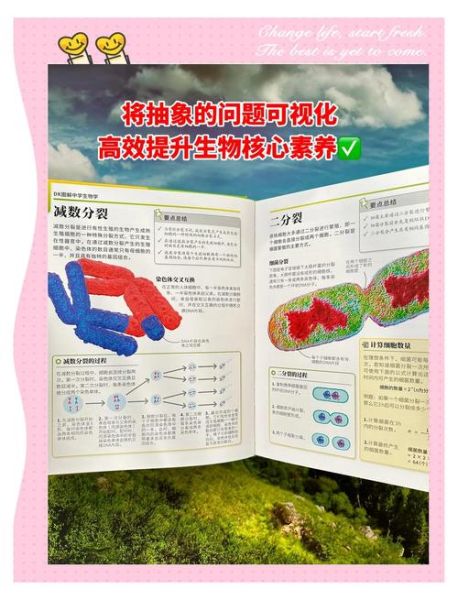 dk生物大百科适合几岁读_如何高效使用