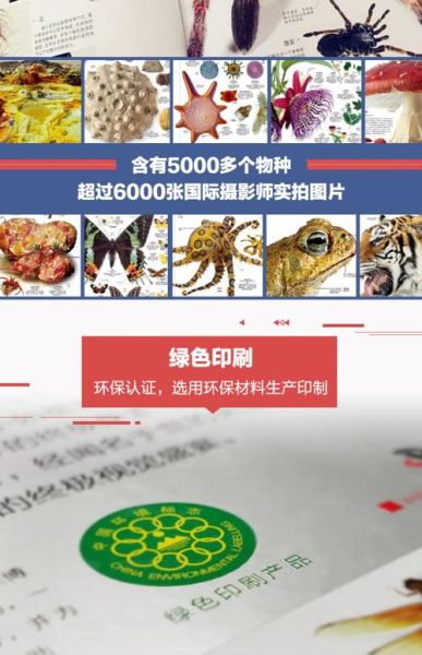 dk生物大百科适合几岁读_如何高效使用