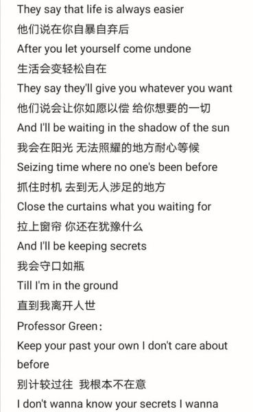 shadowofthesun表达什么情感_shadowofthesun歌词含义