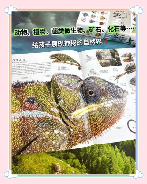 读书瞳能读dk博物大百科真假_实测结果如何