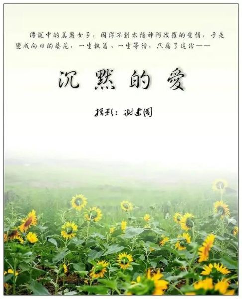 为什么不说_如何表达沉默的爱