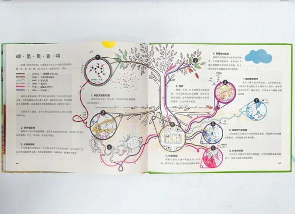 微生物大百科读书卡_适合几岁孩子阅读