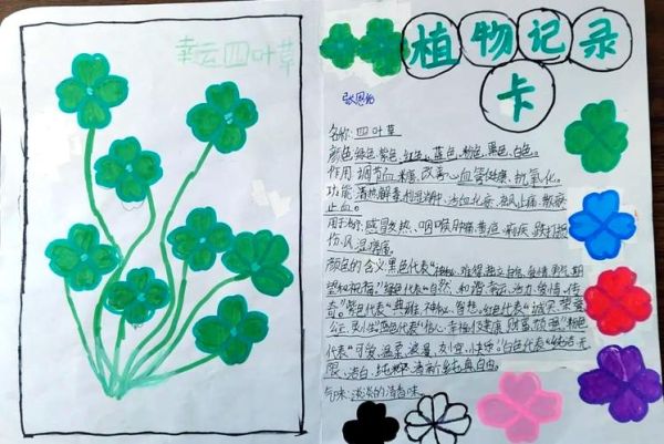 少儿植物百科读书卡怎么做_植物卡片内容写什么