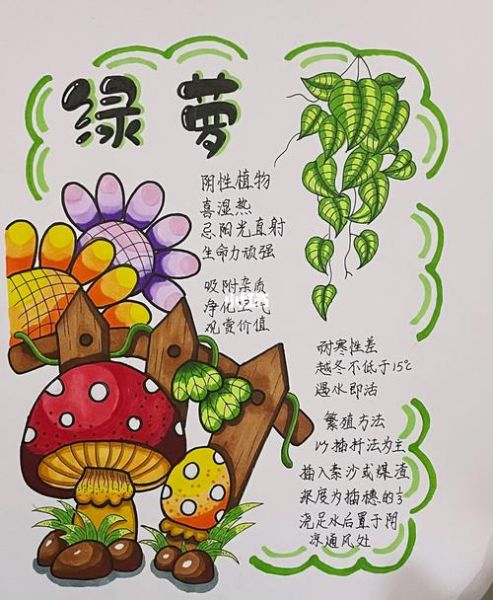 少儿植物百科读书卡怎么做_植物卡片内容写什么