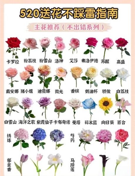 玫瑰颜色代表什么含义_送几朵玫瑰最合适