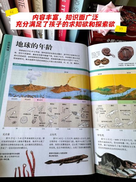 百科全书读书手册_如何高效阅读百科全书