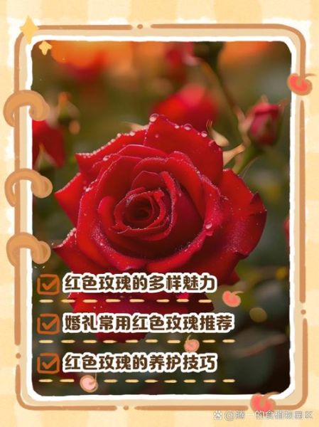 红色代表什么情感_红色象征意义有哪些