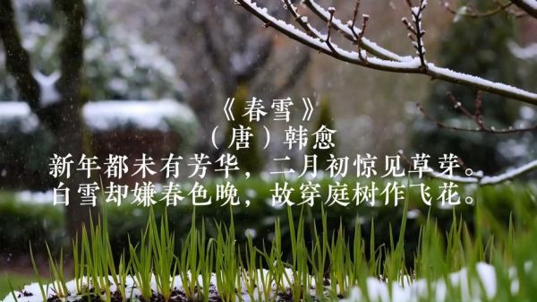 春雪音乐表达什么情感_如何聆听春雪音乐