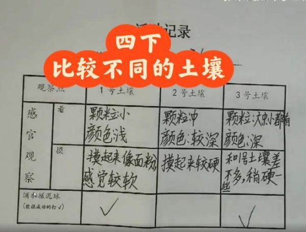 土壤为什么能传递情感_土壤情感表达方法