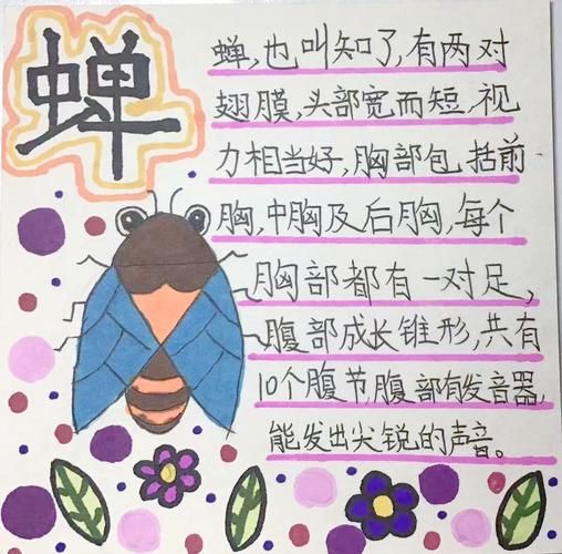 昆虫百科读书心得_昆虫有哪些奇特习性