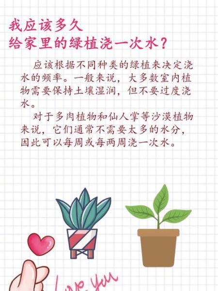室内植物多久浇一次水_哪些绿植适合新手