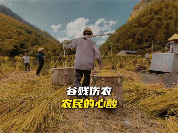 农民种地辛苦吗_农民种地一年能赚多少钱