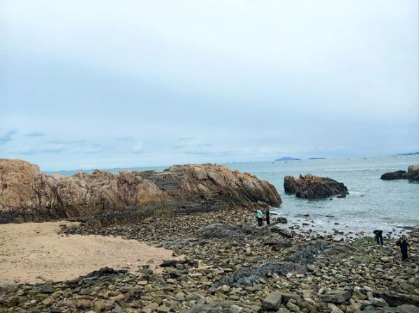 礁石象征什么情感_礁石在爱情里代表什么