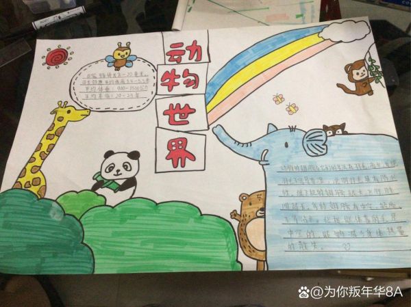 动物小百科读书小报怎么做_适合小学生的动物手抄报