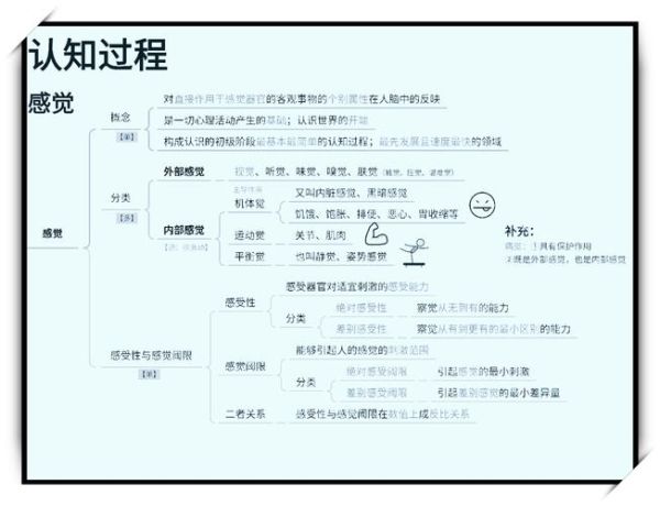 心理学考纲重点有哪些_如何高效记忆