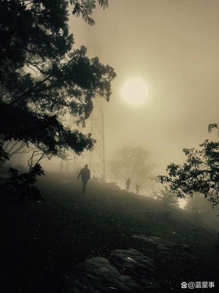 火烧的寂寞表达了什么情感_如何走出孤独