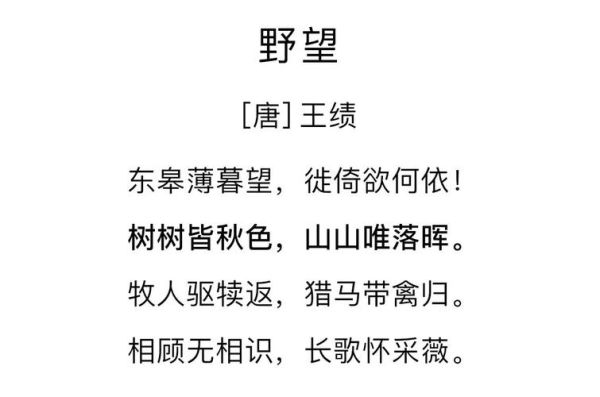 野望表达了什么情感_杜甫野望的情感内涵