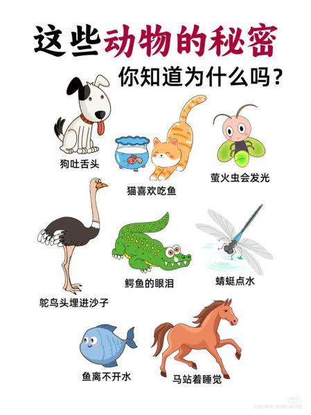 动物百科_动物行为背后的秘密是什么