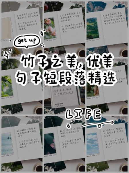 小竹子情感表达_如何安慰失恋的朋友