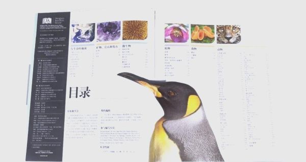 麦芽小达人点读书博物大百科怎么用_适合几岁孩子