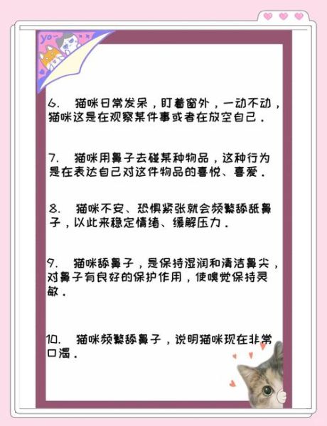 猫咪为什么突然疏远主人_如何读懂猫的情感表达