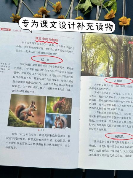 百科解读是什么_如何高效阅读百科书籍