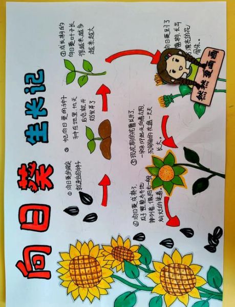 向日葵读书卡是什么_怎么使用向日葵读书卡