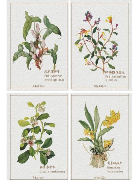 植物百科书推荐书目_适合新手阅读的有哪些