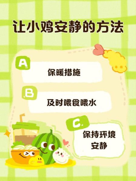 小鸡为什么总是叽叽叫_如何安抚小鸡情绪