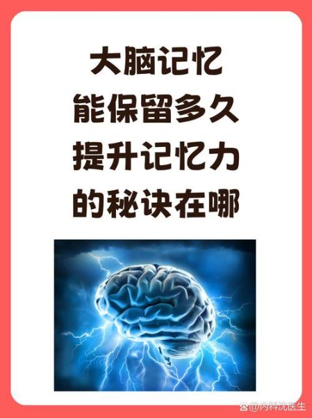 如何提升记忆力_大脑训练真的有用吗