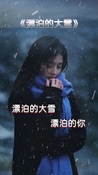 大雪歌曲表达什么情感_大雪歌词背后的故事
